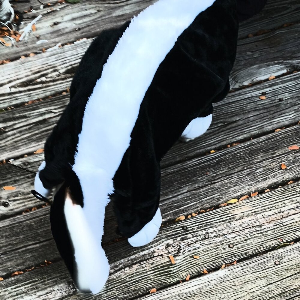 GUC ~ Target Brand's Little Stinker Dog Costume (Size: Large)